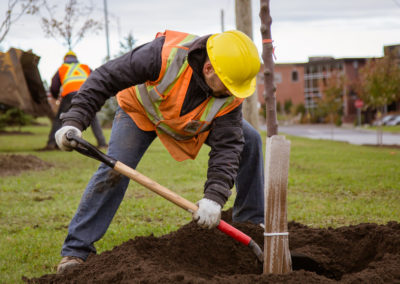 Service de nivellement de terrain, entretien paysager et de pose de gazon en rouleau à Lavaltrie / Tourbe Lanaudière